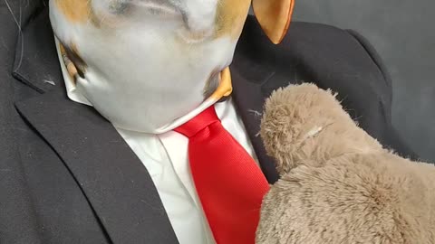 Feliz Cinco de Mayo amigos!