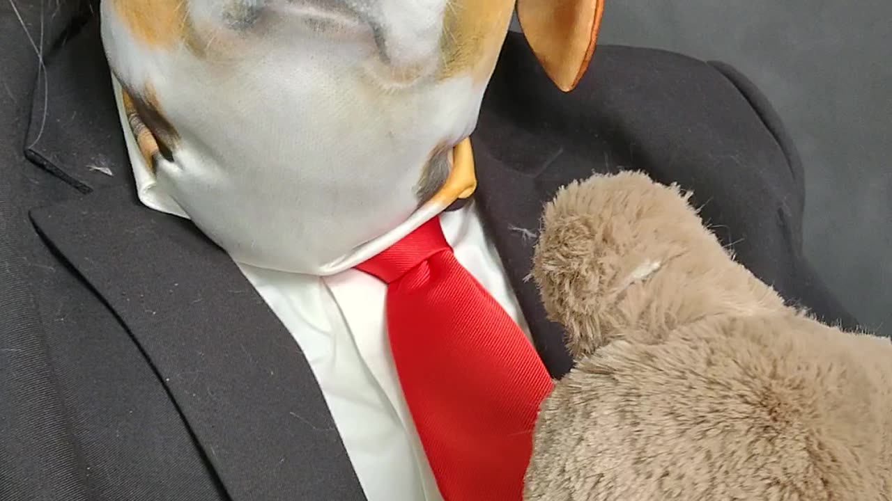 Feliz Cinco de Mayo amigos!