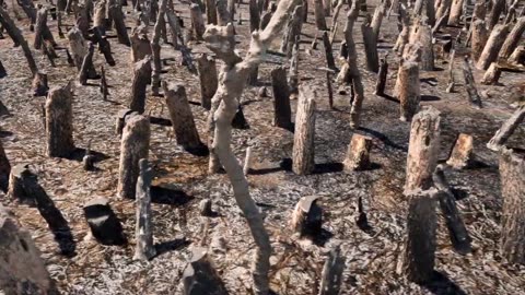 Climate Change. Most important topic for the current world