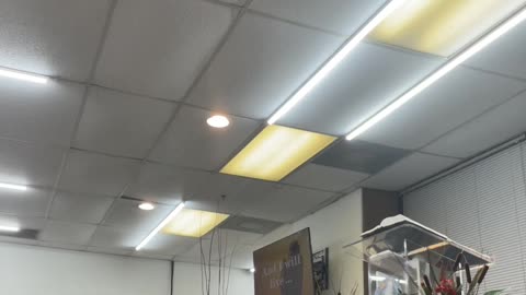 Friday Night Prayer Service