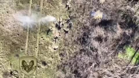 Ukraine Suffer Heavy Losses