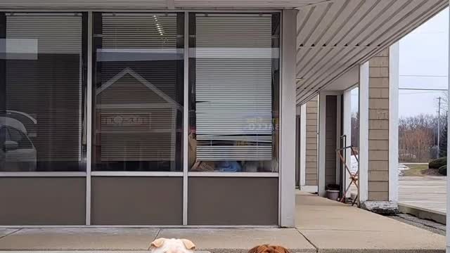 Aurora & Tindrah's January 2023 Black and Gold Photo Challenge on the Town