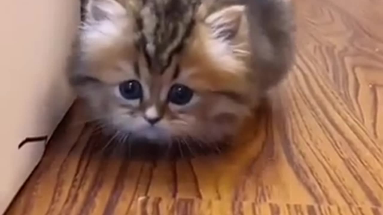Try not to