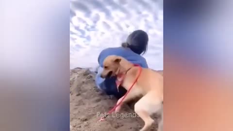 Funniest Animals 2023 😂 New Funny Cats and Dogs Videos 😻🐶 Part 1