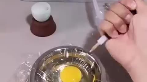 How a chick born from egg