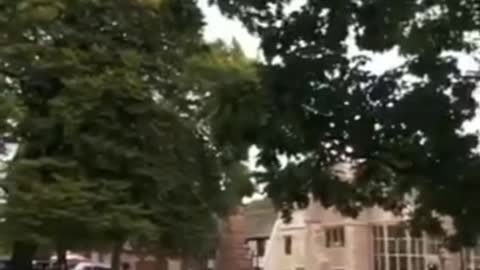 Nancy Pelosi boo'd outta London