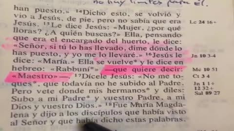 Se habla de hermanos de Jesús y no de primos en la Biblia - Padre Juan Molina