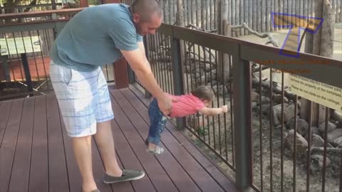 FORGET CATS! Funny KIDS vs ZOO ANIMALS are WAY FUNNIER! - TRY NOT TO LAUGH