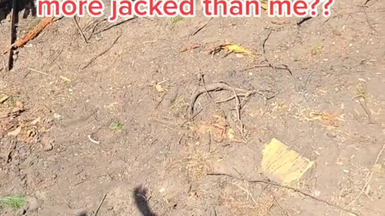 Why my shadow more jacked than me?