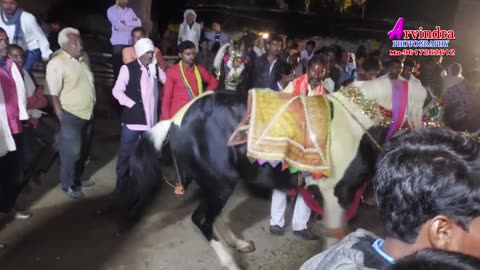 Horse Dance Supar Fast Bundeli