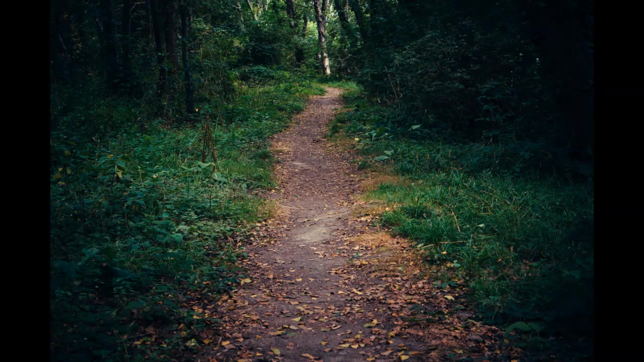 Lord Winter - The Path