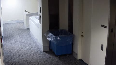 1466HSOB02SH211Entrance_2021-01-05_02h00min02s150ms.mp4