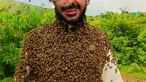 Bee 🐝🐝🐝🐝🐝🐝 Man