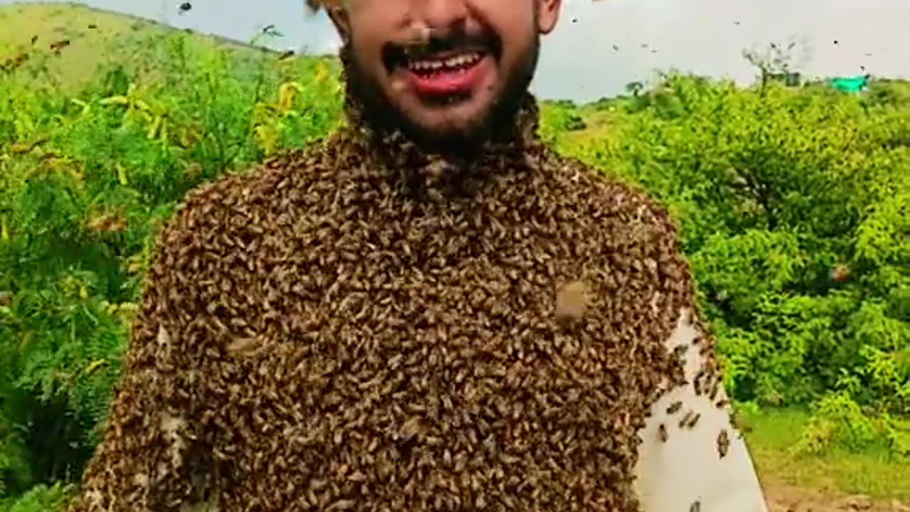 Bee 🐝🐝🐝🐝🐝🐝 Man