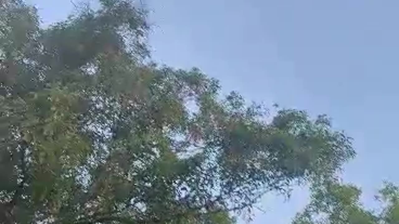 Total - Live in India