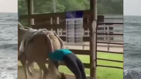 Girl horse🐎 funny meme