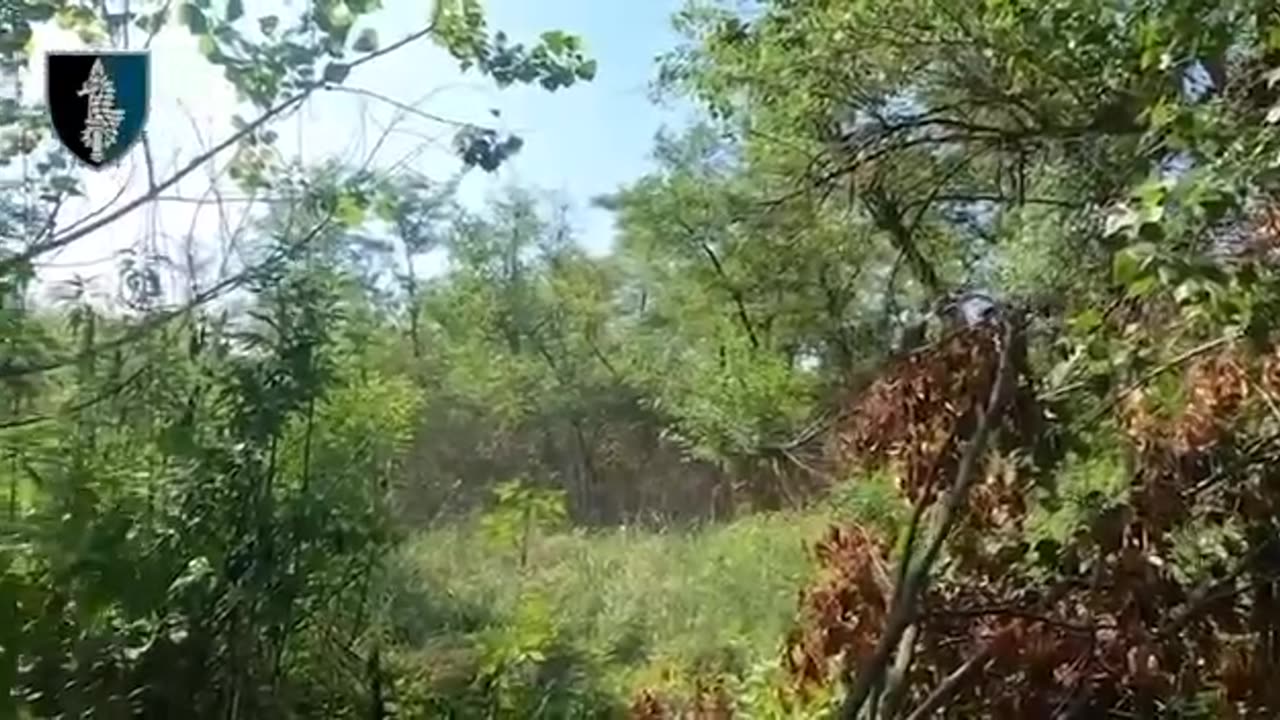 Intense Footage from Ukrainian Marines