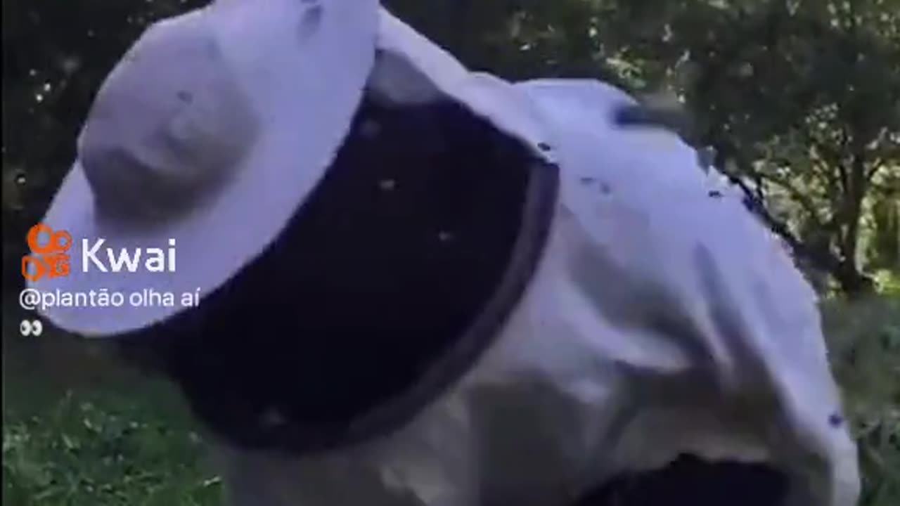 Bees bring Michael Jackson back to life!!! #comedy