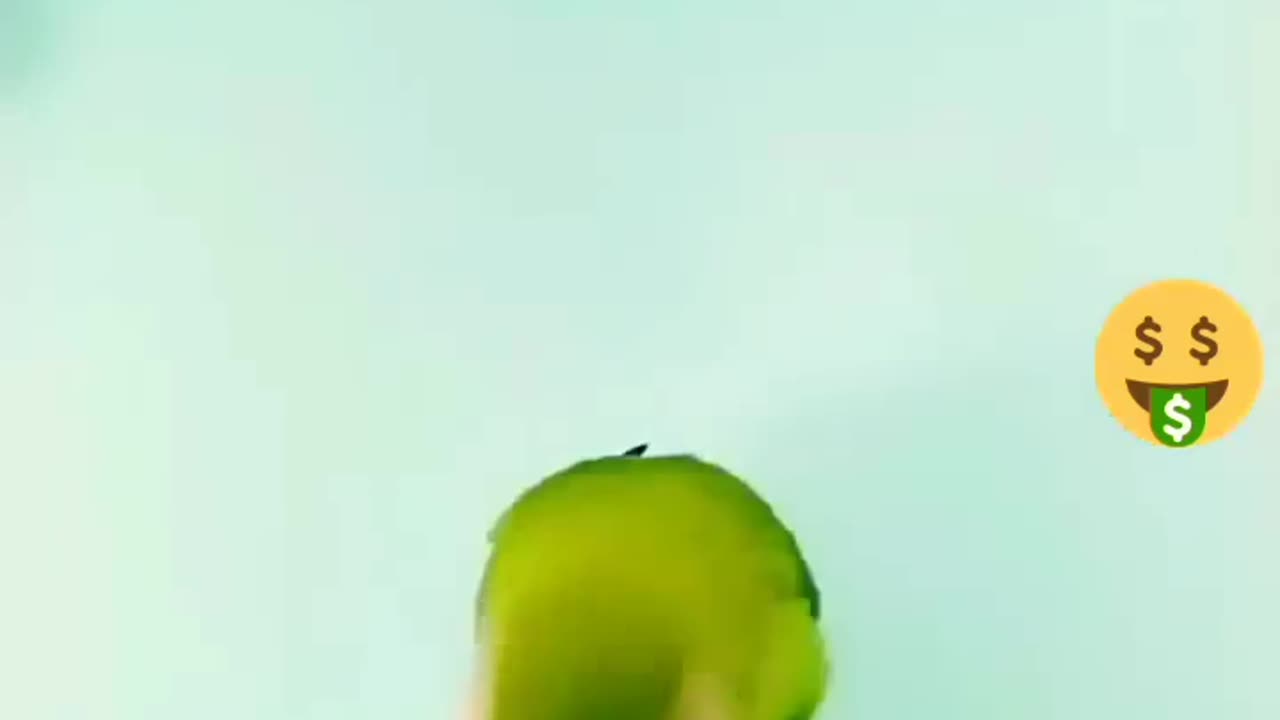 cute parrot funny parrot 🦜