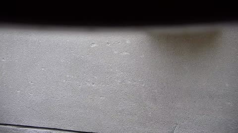 5182CHOB01CH06Exterior_2021-01-06_14h37min17s750ms.mp4