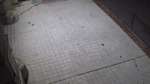 3203LHOBBACStLoadingDockExteriork_2021-01-05_21h40min01s383ms.mp4