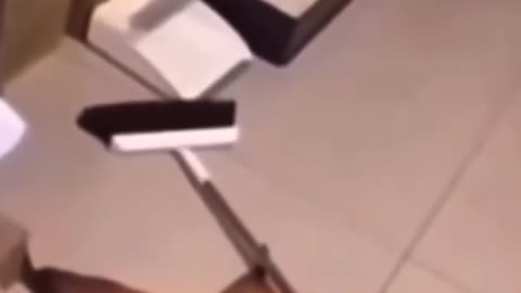 Squirrel Staged And Faked It's own Death 🤣🤣🤣