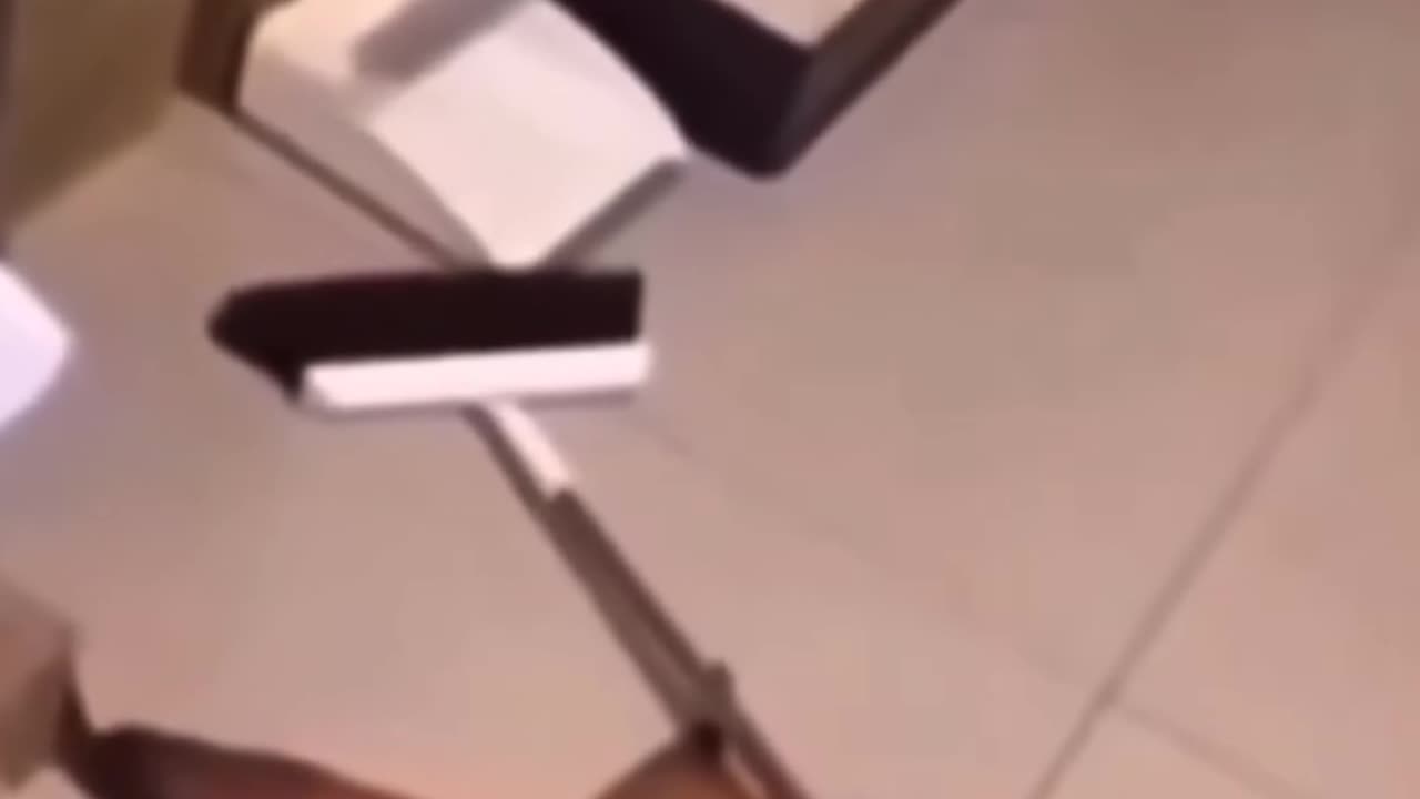Squirrel Staged And Faked It's own Death 🤣🤣🤣