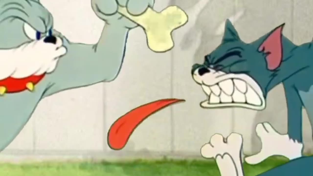 TOM AND JERRY FUNNY VIDEOS