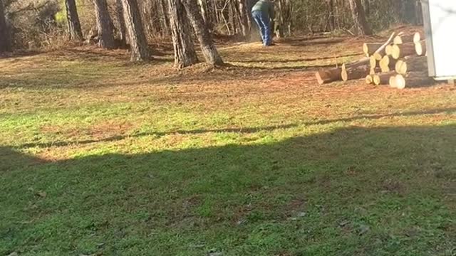 Should have weaved