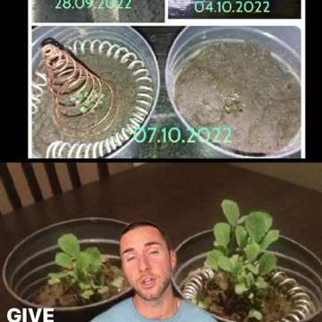 Simple way using copper to harness the atmospheric energy to help your plants grow faster.