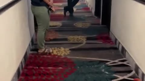 Does anyone know the Whole story about this?