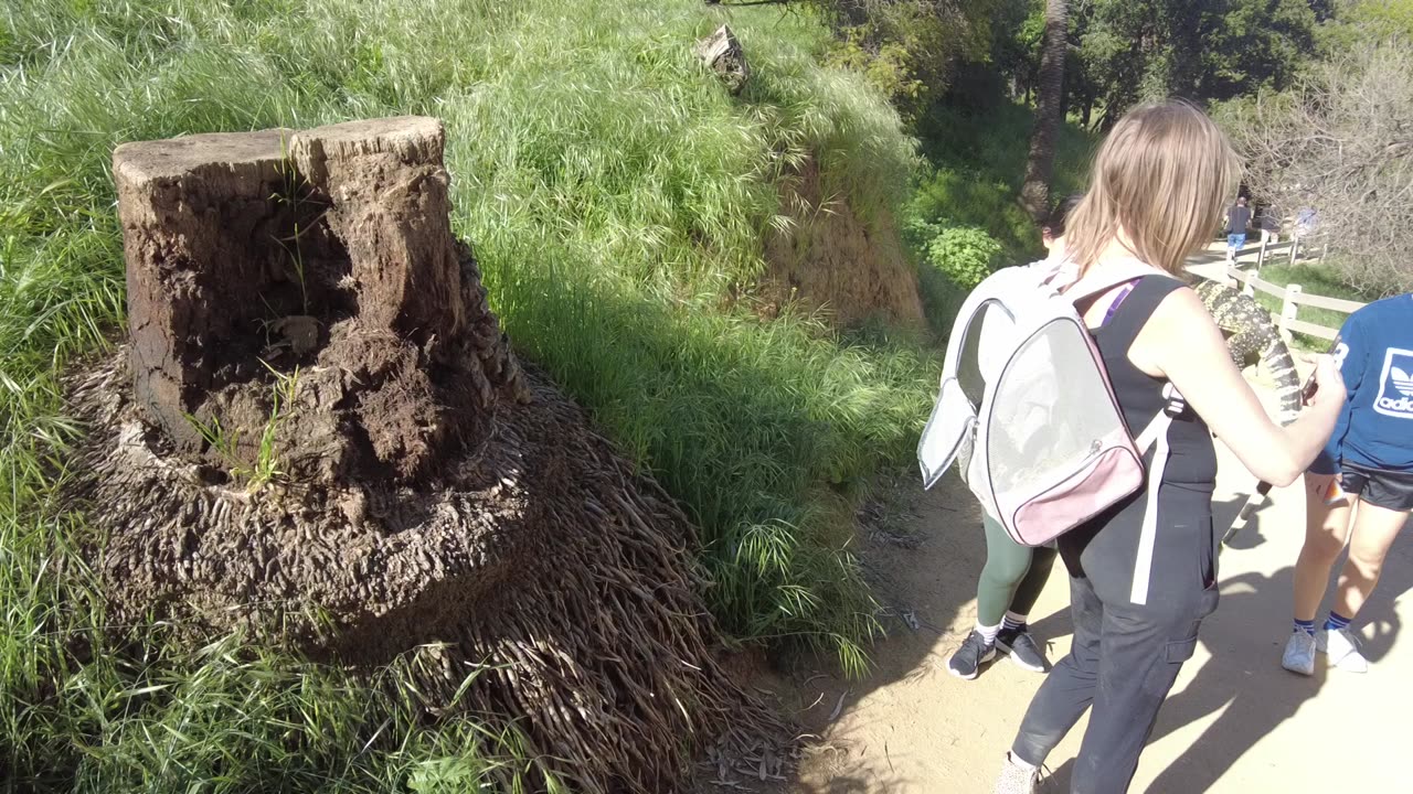 Malinki Soterosaurus aka "Runyan Canyon Dragon"