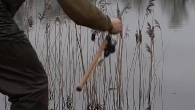Phil out targeting them autumn roach