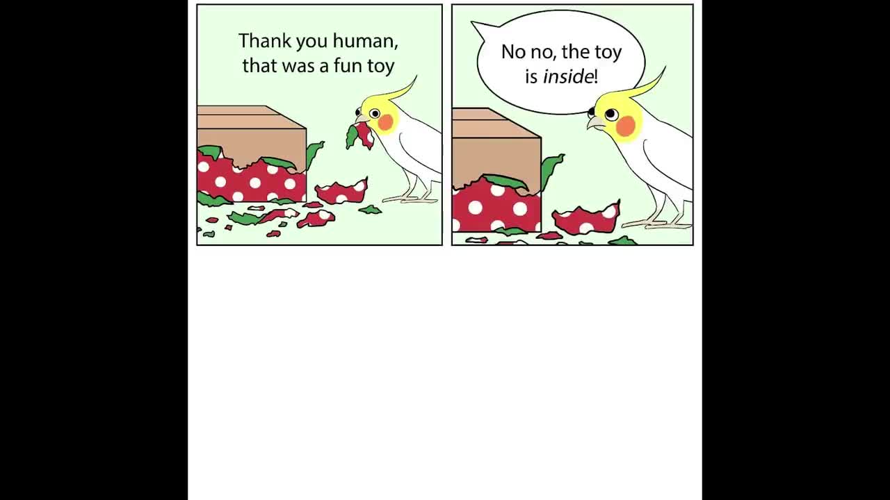 Comics With A Parrot Twist