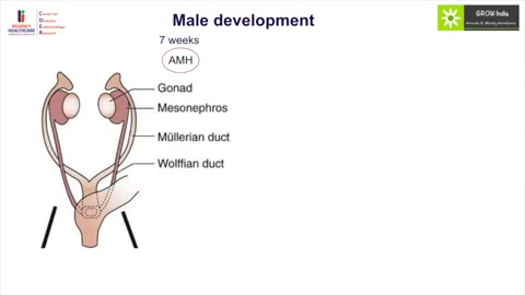 Sexual Disorders - How to Make Better Performance