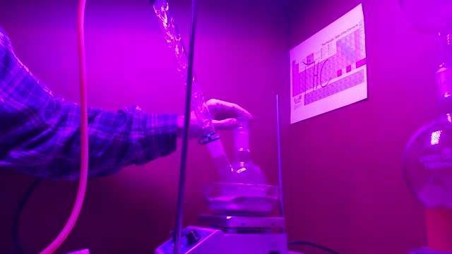 Lab dab