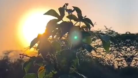 You like this video । beautiful 😍❤️😍❤️