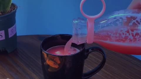 portable juiceer
