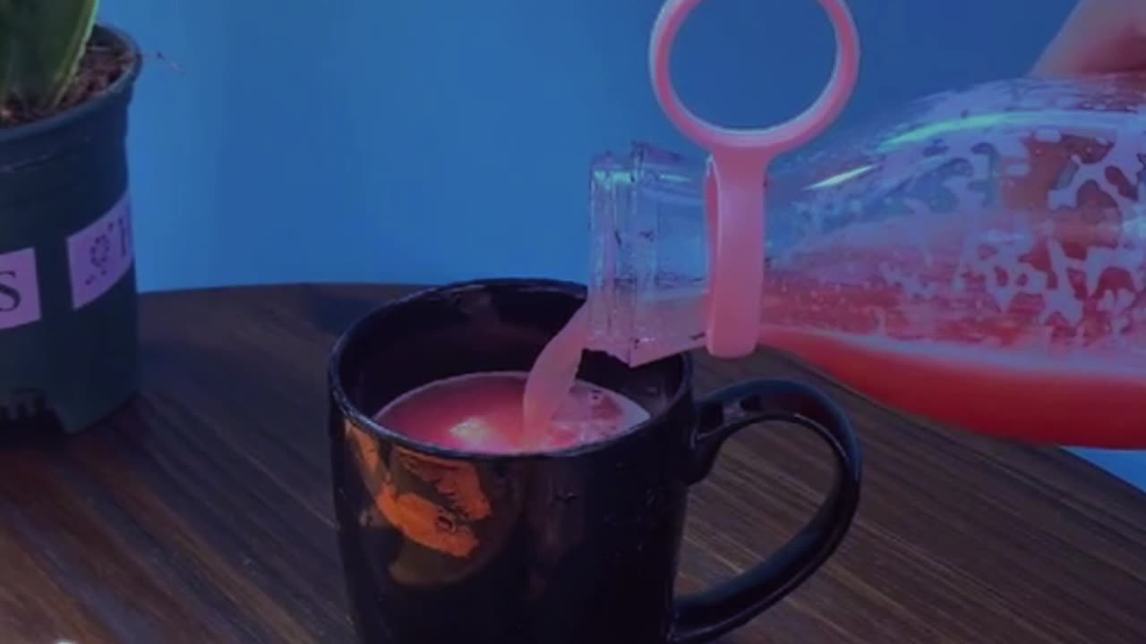 portable juiceer
