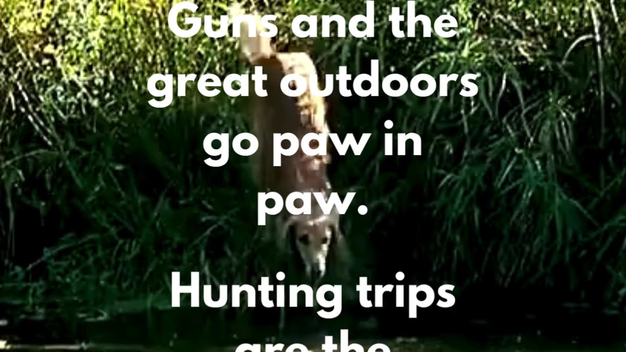 Dogs Love to Hunt