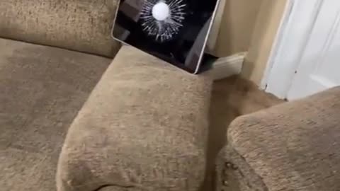 Broken Ipad Prank On Big Brother 🤣