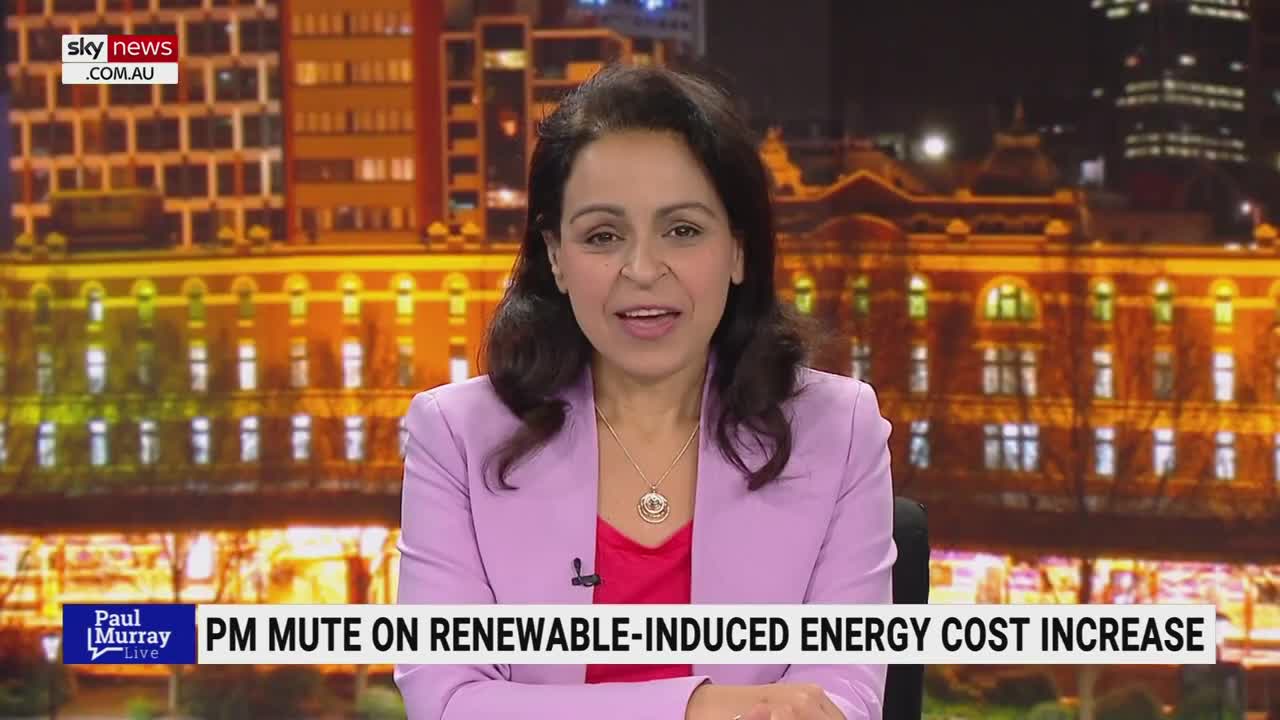 Albanese 'apparently' going to 'pull the rabbit out of the hat' and fix the energy crisis