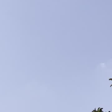 ✈️🇺🇸NAVY ARE OUT IN FULL🇺🇸✈️