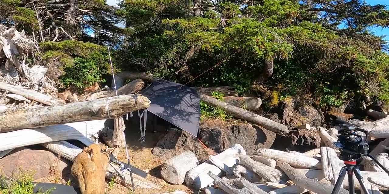 30 Day Survival Challenge_ Vancouver Island +=18