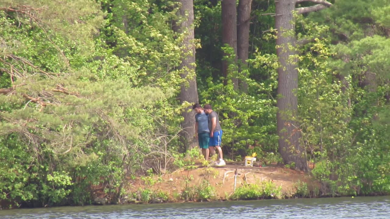My Camera Zoom - How Far Does It Go