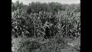 Buster Keaton. The Scarecrow (1920) - Full movie