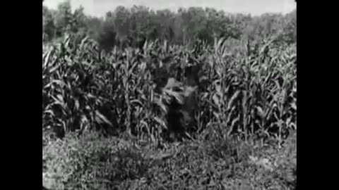 Buster Keaton. The Scarecrow (1920) - Full movie
