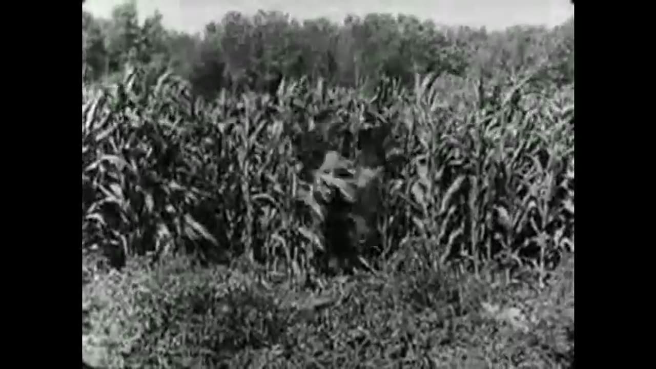 Buster Keaton. The Scarecrow (1920) - Full movie
