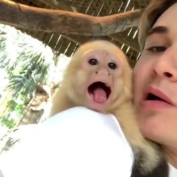 Oliver and I are hanging out! So much from this little guy! 🐒