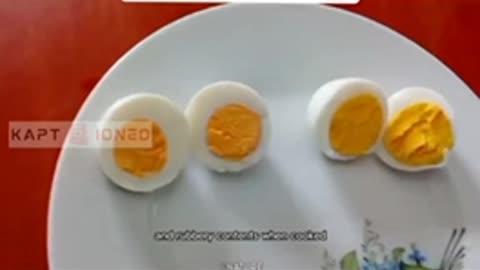 Fake Eggs